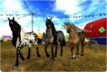 /album/star-stable-online/star-stable-online-sport-friesian-horse-jpg2/